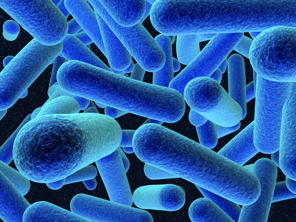 Listeria Disinfection and control
